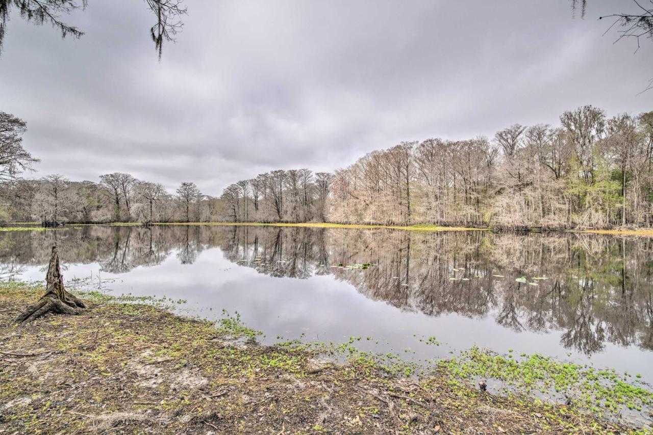 Unplugged Withlacoochee Riverfront Retreat! Bushnell Ngoại thất bức ảnh